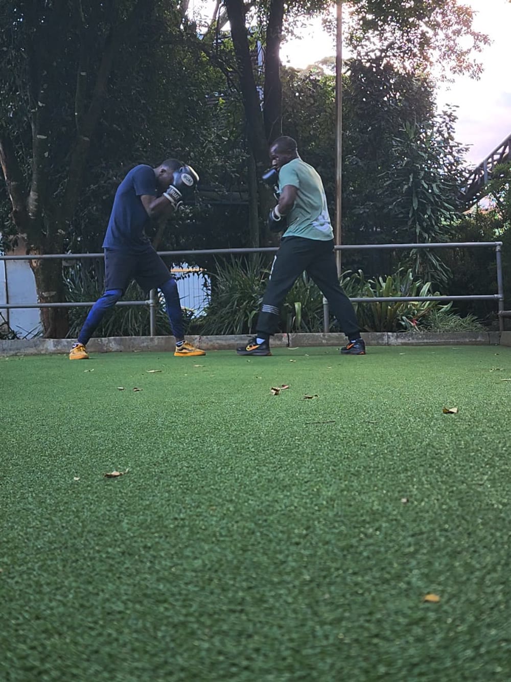 Pad work on the grass at sunset